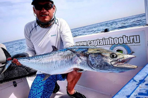 Jaka jest różnica między makrelem a makrelem?